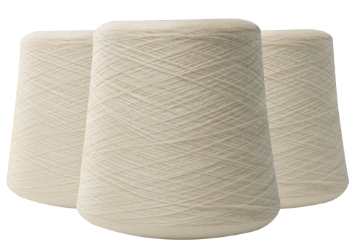 Jiangsu Haoye Fibre Technology Co., Ltd.